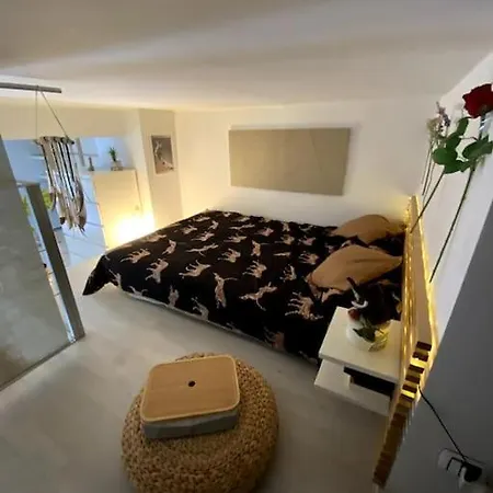 Loft Intero Stile Jungle Apartamento