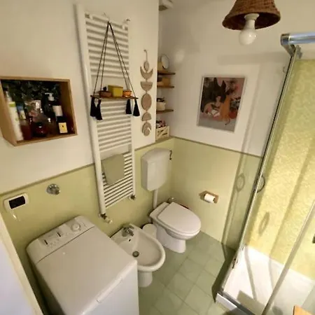 Apartment Loft Intero Stile Jungle